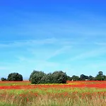 度假居 Strandhaus Anne Bonny Teichhof Fehmarn Wenkendorf